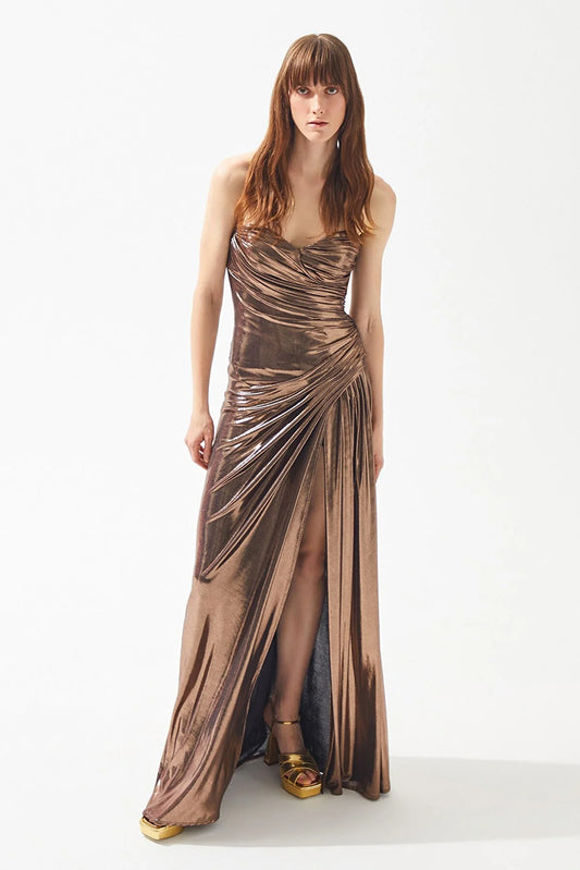 Bosnia Metallic Dress